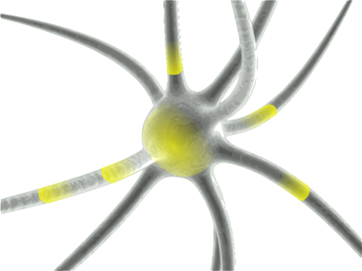 Neural Networks With Single Neuron Implementation