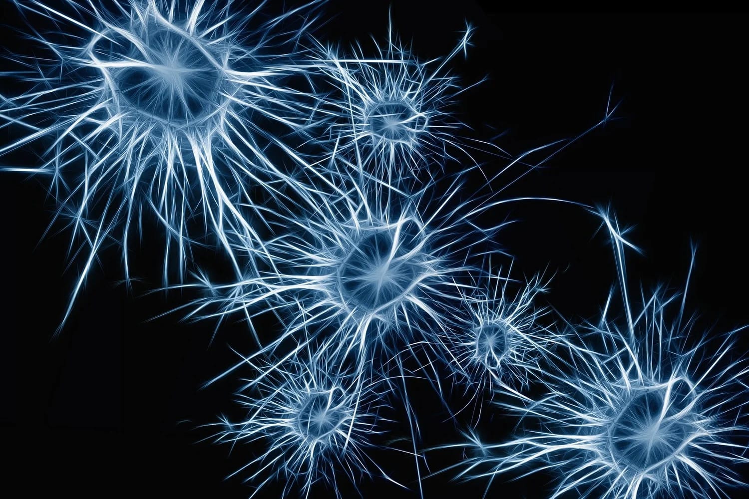 Convolutional Neural Networks